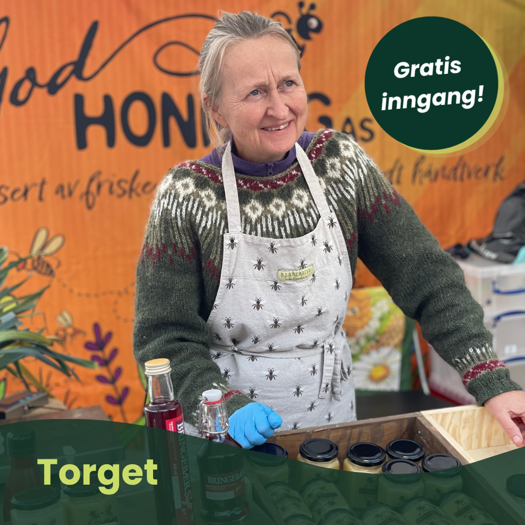 Torget