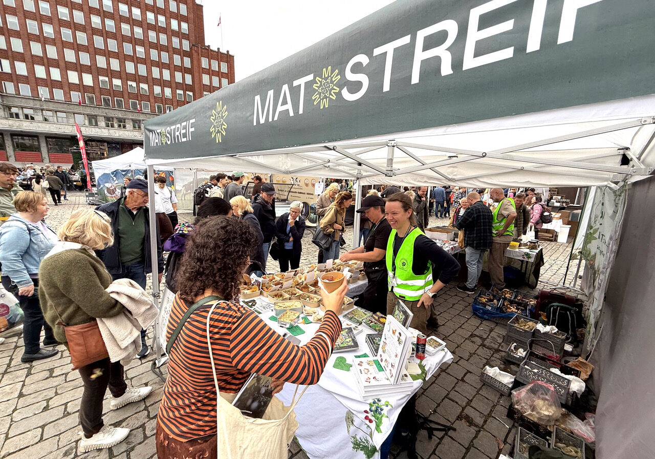 Matstreif 2025- (4 of 8)